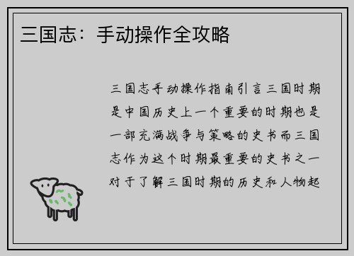 三国志：手动操作全攻略